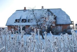 Ferienwohnung unter Reet