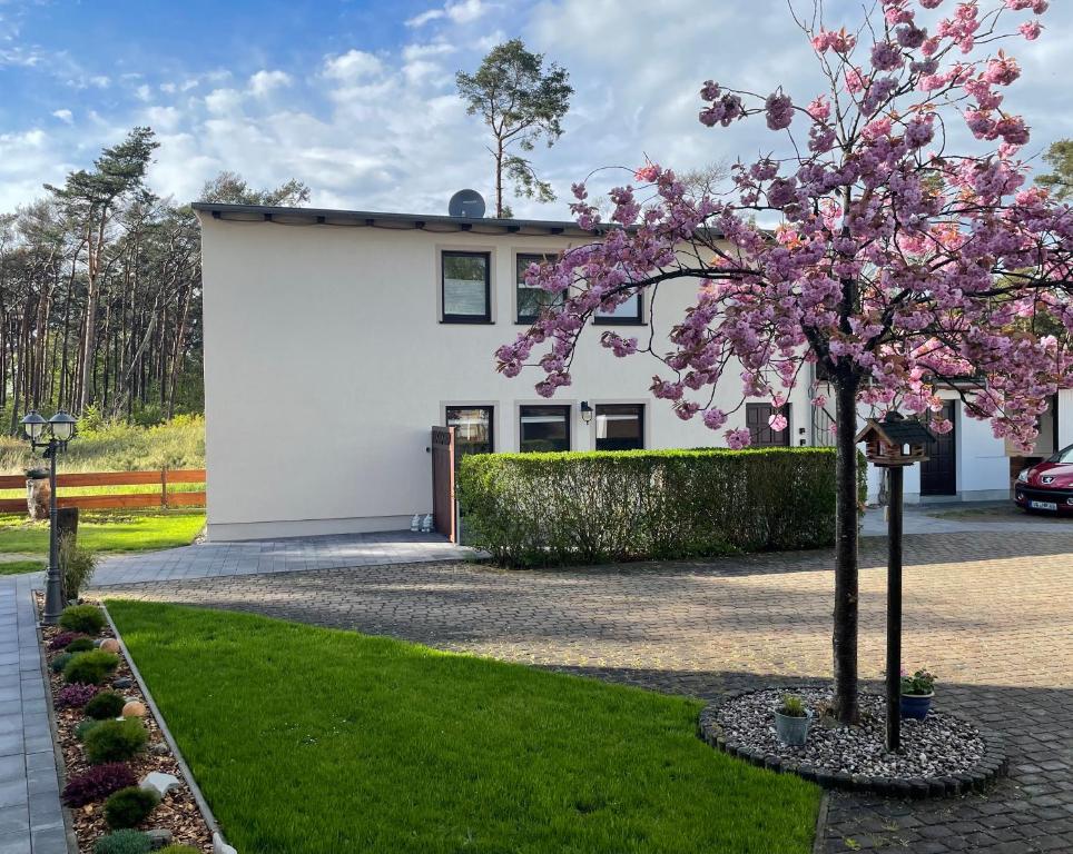 Appartements Ferienwohnung Wegner Kampstraße 26 17449 Trassenheide
