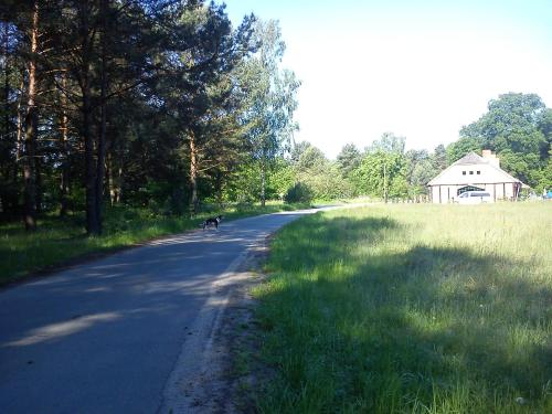 Ferienwohnungen 3 Birken