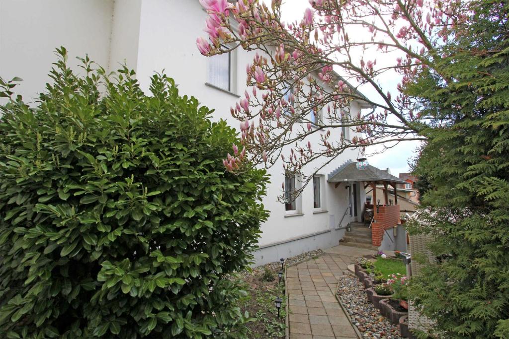 Appartements Ferienwohnungen Ahlbeck USE 3490 Kaiserstraße 5 17419 Ahlbeck