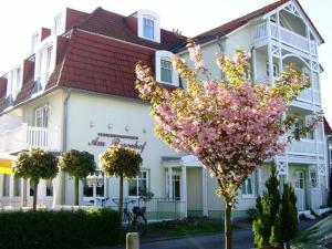 Appartements Ferienwohnungen am Rosenhof Poststr. 18 18225 Kühlungsborn Mecklembourg-Poméranie