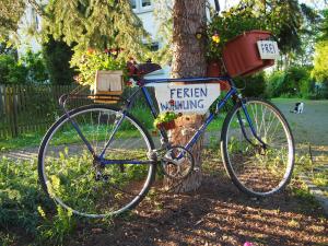 Ferienwohnungen am Schwanenteich