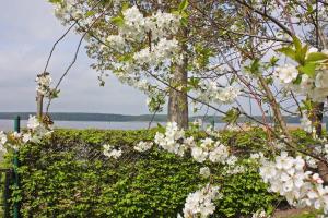 Appartements Ferienwohnungen am See Userin SEE Bauernende 18 17237 Userin Mecklembourg-Poméranie