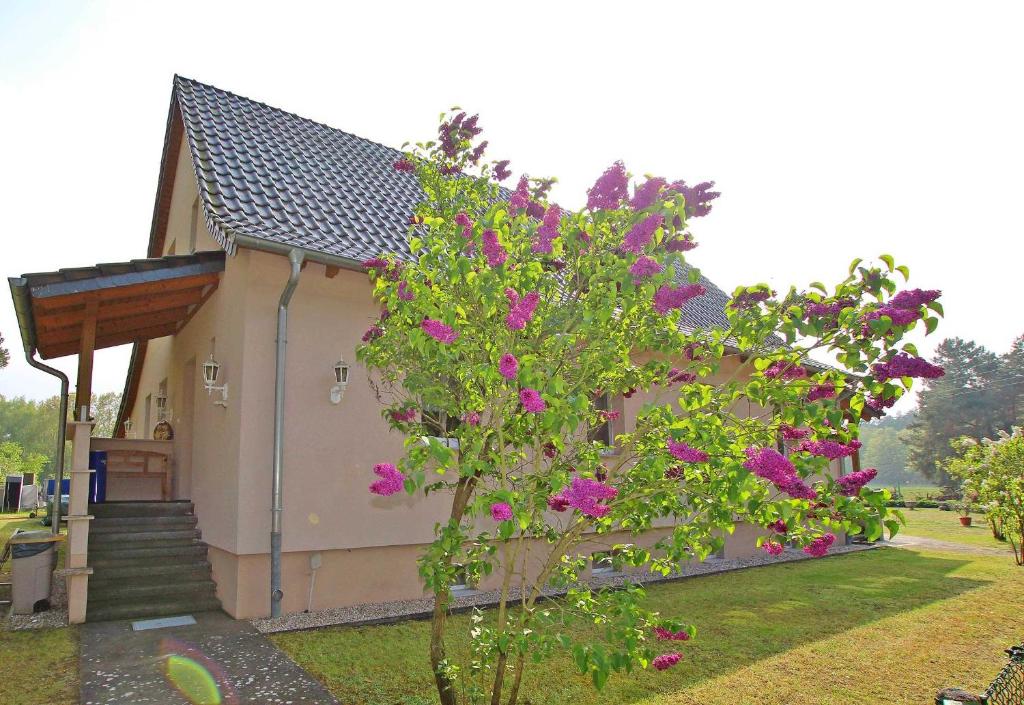 Appartements Ferienwohnungen am Wald _ Torgelow Holländerei 79 17358 Torgelow