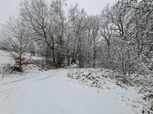 Appartements Ferienwohnungen an der Bosel Boselweg 56a Erdgeschoss 01640 Coswig Saxe
