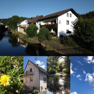 Appartements Ferienwohnungen An der Rodach Saunkel10 96349 Steinwiesen Bavière