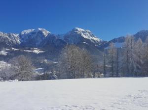 Appartements Ferienwohnungen Andrea Krennstraße 27 83471 Schönau am Königssee Bavière