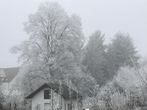 Ferienwohnungen BECKENDORF Schiller