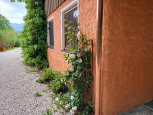 Ferienwohnungen beim Silbergersee
