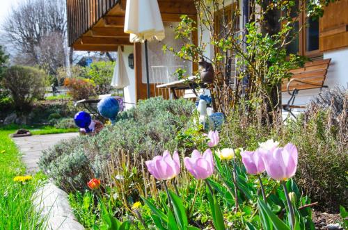 Ferienwohnungen Budererhof