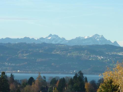 Ferienwohnungen Dreher - Seeblick