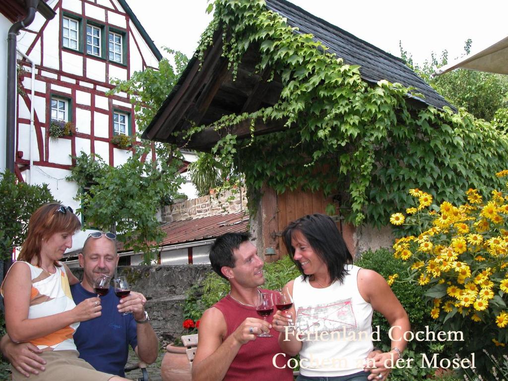 Appartements Ferienwohnungen Ferienland Cochem Am Moselufer 9 56814 Bruttig-Fankel