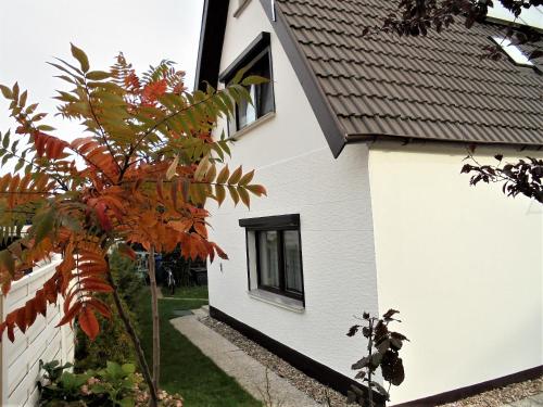 Ferienwohnungen/Ferienzimmer Seidel