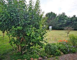 Ferienwohnungen Fuhlendorf FDZ 250
