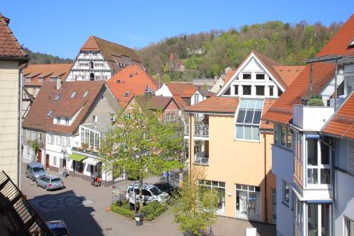 Ferienwohnungen-Gmuend Stadtherberge Mühlbergle