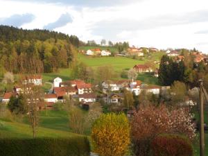 Appartements Ferienwohnungen Haus Panorama 42A Säumerweg 94556 Neuschönau Bavière