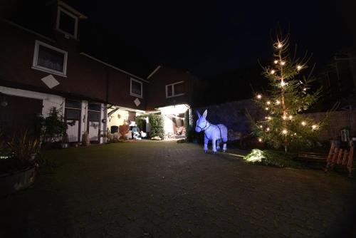 Ferienwohnungen Haus Silberbaer