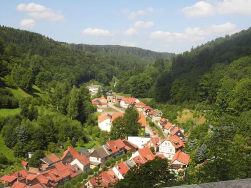 Ferienwohnungen im Harz