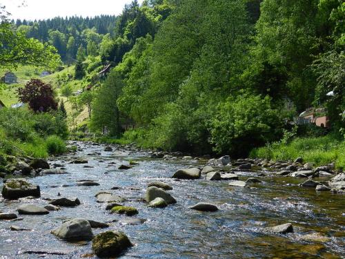 Ferienwohnungen in Schönmünzach