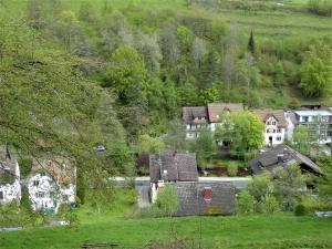 Ferienwohnungen in Schönmünzach
