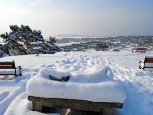 Ferienwohnungen Insel Hiddensee RU