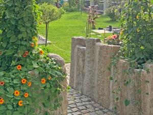 Ferienwohnungen Kieferbachtal