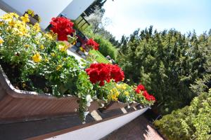 Ferienwohnungen Kurhotel Eichinger