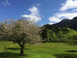 Ferienwohnungen Landinger