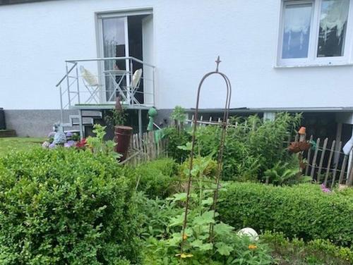 Ferienwohnungen Lemma