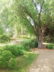 Appartements Ferienwohnungen Margaretenhof, Plaue Margaretenhof 1 14774 Margarethenhof Brandebourg