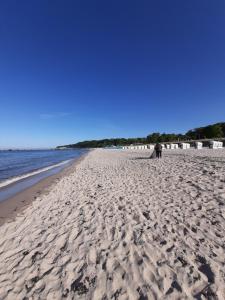 Ferienwohnungen Meerblick Herde