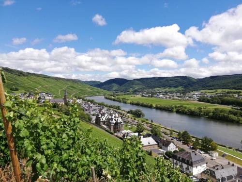 Ferienwohnungen ''Moselblick''