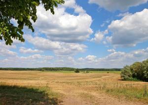 Ferienwohnungen Roggentin SEE 9740