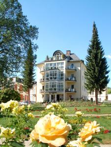 Appartements Ferienwohnungen Rosengarten Johann-Christoph-Hilf-Straße 7 08645 Bad Elster Saxe