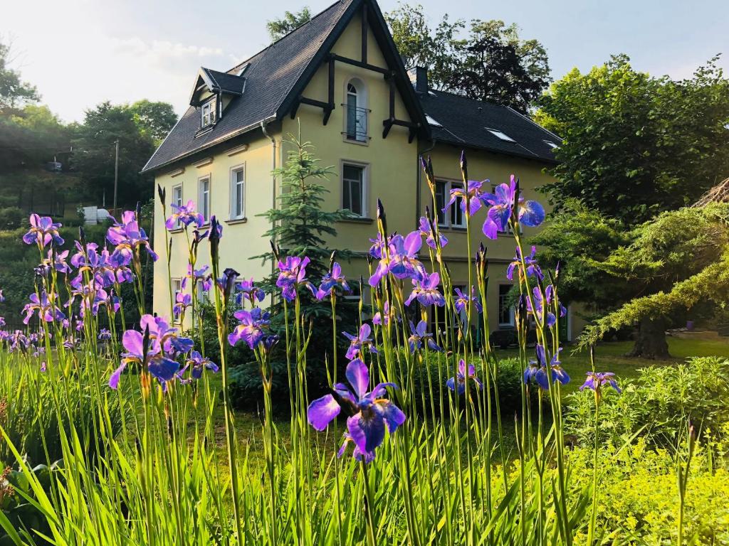 Appartements Ferienwohnungen Siebenlehn am Romanus Freibad Otto-Altenkirch-Straße 26 09603 Siebenlehn