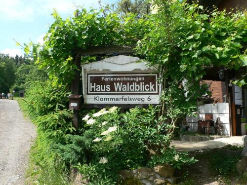 Ferienwohnungen Waldblick