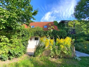 Ferienwohnungen Waren Müritz SEE 10940