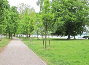 Ferienwohnungen Waren Müritz SEE 10980