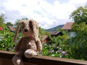 Ferienwohnungen Winkler