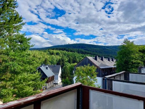 Ferienwohnungen Zauberberg, Schneehase & Glitzerhirsch