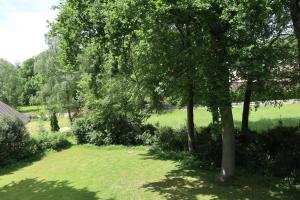 Ferienwohnungen Zum Hülsenbusch