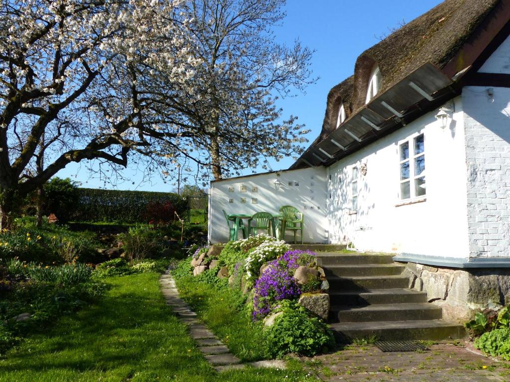 Ferienwohungen im Feriengarten Kastanienallee 5, 18551 Nardevitz