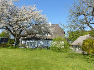 Ferienwohungen im Feriengarten