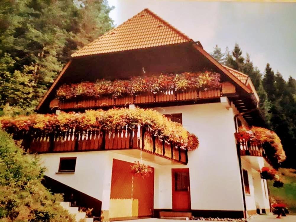 Appartements Ferienwohungen im Kuchersbach Kuchersbach 118A 78132 Hornberg