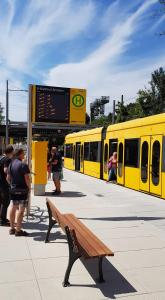 FeWo 2,4,5,6 Altstadt - Am grossen Garten