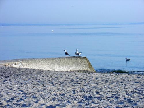 FeWo Machedanz Timmendorfer Strand