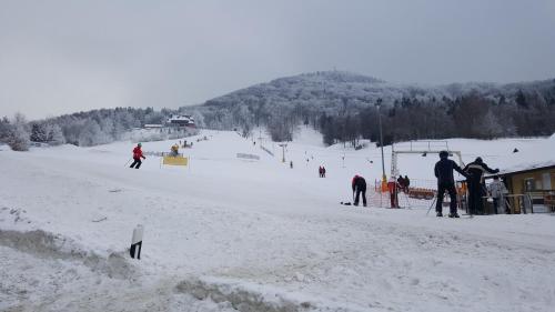 FeWo Skiheim