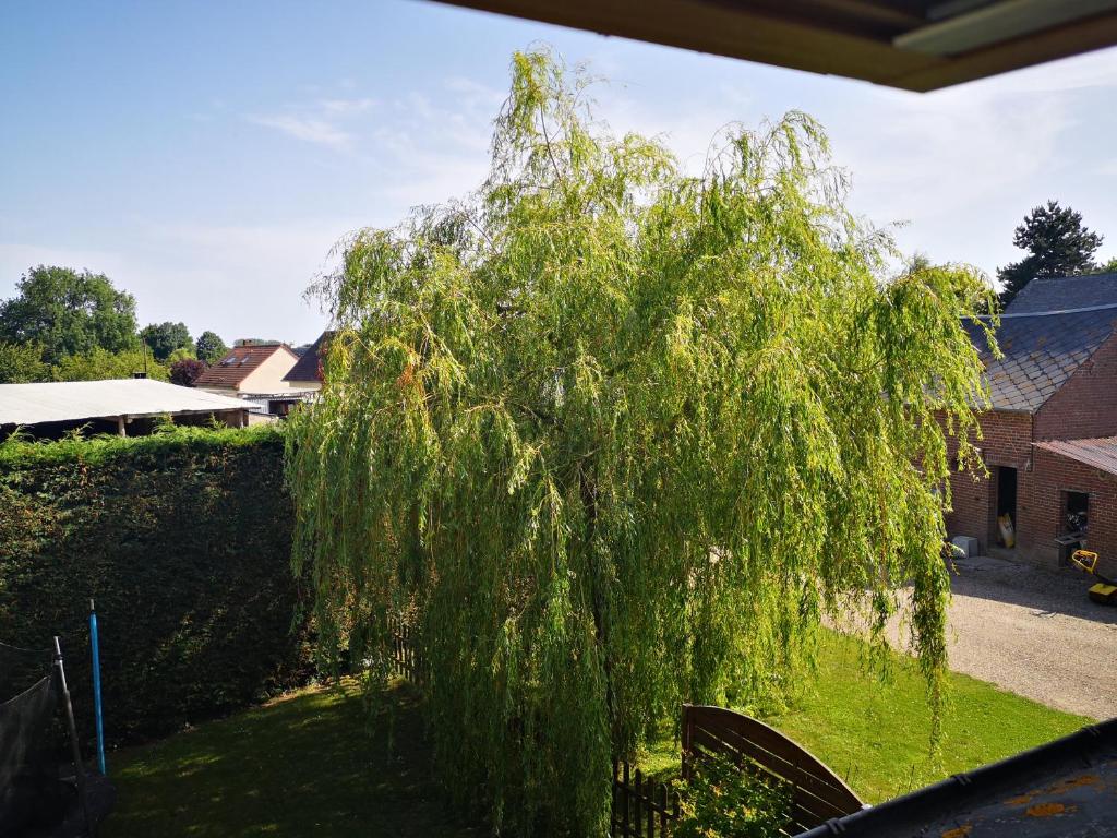 FEWO \ 17373 Ueckermünde