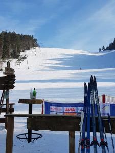 Appartements Fewos 4-Jahreszeiten Ottmaringhäuser Weg 2 34508 Willingen Hesse