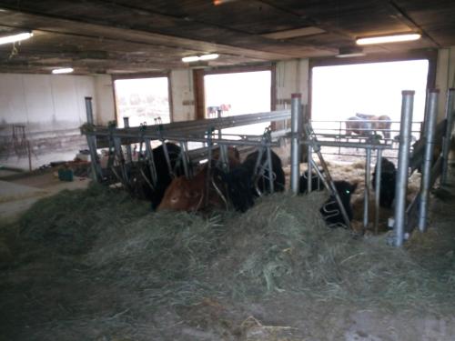 Fränkischer Ferienhof Joas